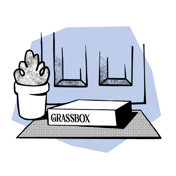 Illustration showing GrassBox real grass potty box delivered to your door