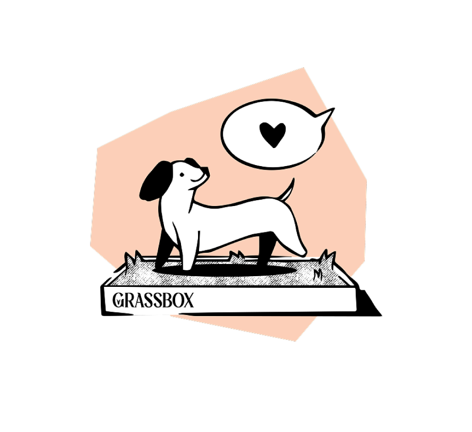 Cartoon dog sitting on real grass patch, representing eco-friendly potty training for dogs