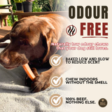 6 Inch Jumbo Bully Stick