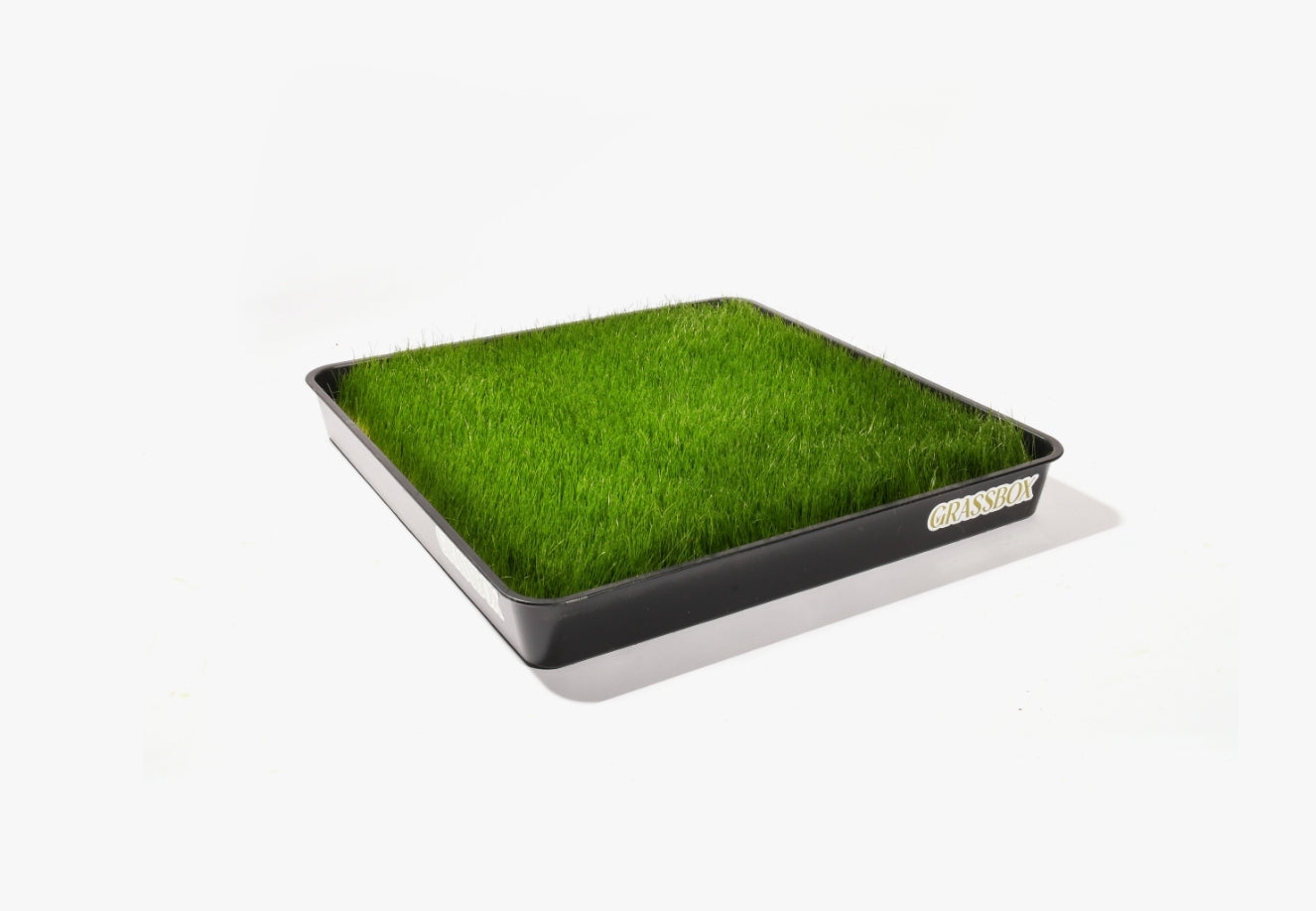 Real grass dog potty patch subscription box delivered fresh to Toronto condos and apartments