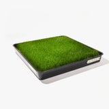 Real grass dog potty patch subscription box delivered fresh to Toronto condos and apartments