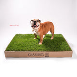 Real GrassBox