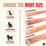 6 Inch Jumbo Bully Stick