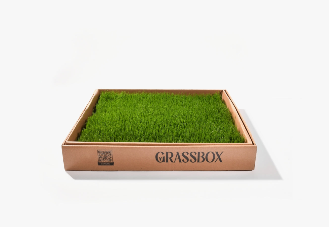 GrassBox real grass patch for dogs, natural indoor potty solution delivered fresh in Canada