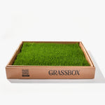 GrassBox real grass patch for dogs, natural indoor potty solution delivered fresh in Canada