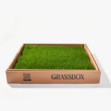 GrassBox real grass patch for dogs, natural indoor potty solution delivered fresh in Canada