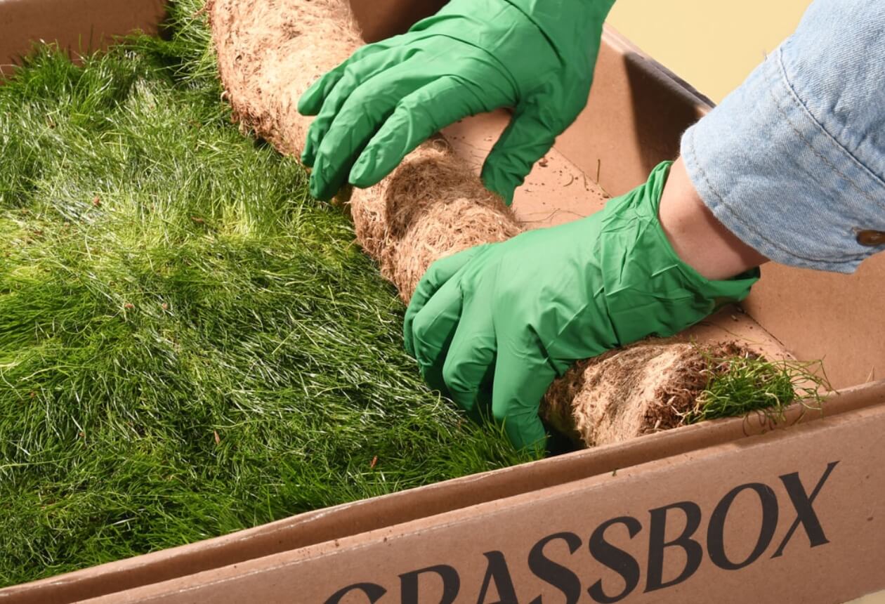 Real grass potty patch with soil and roots, eco-friendly alternative to pee pads for dogs.