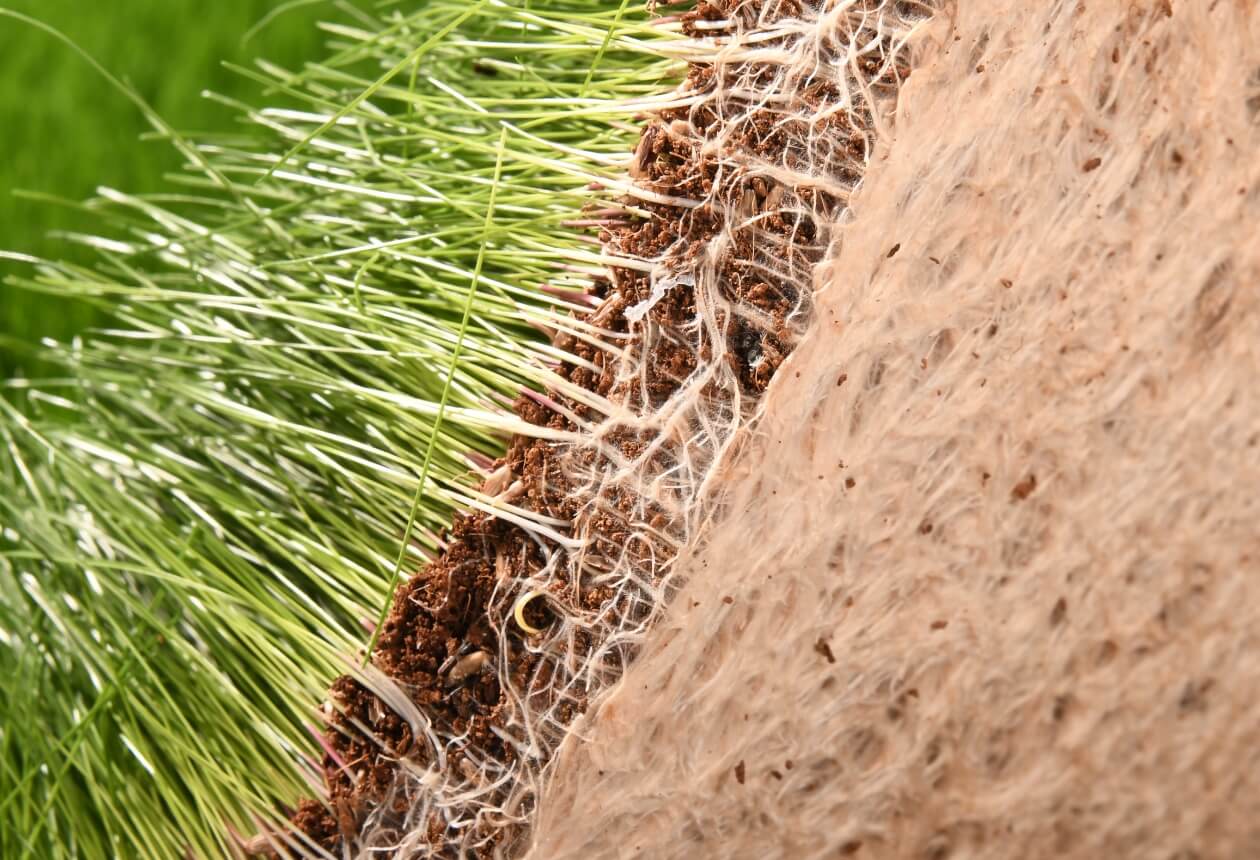 Close-up of GrassBox real grass potty patch showing natural roots, soil, and fibers for dogs