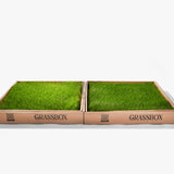 “Fresh real grass surface used in GrassBox dog potty subscription for indoor and balcony use