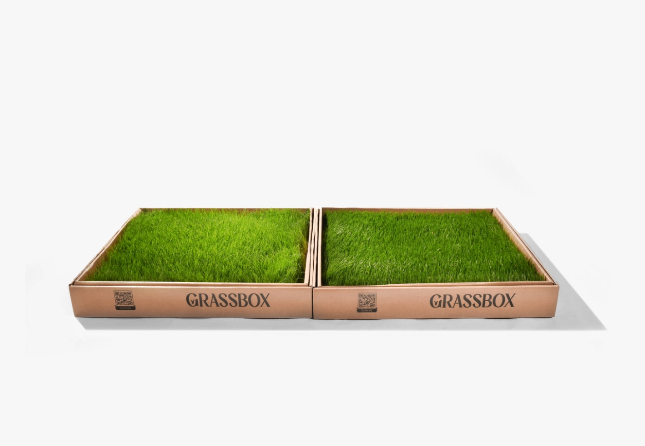 “Fresh real grass surface used in GrassBox dog potty subscription for indoor and balcony use